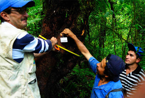 Mecanismos de retribución por servicios ambientales para mitigación de cambio climático